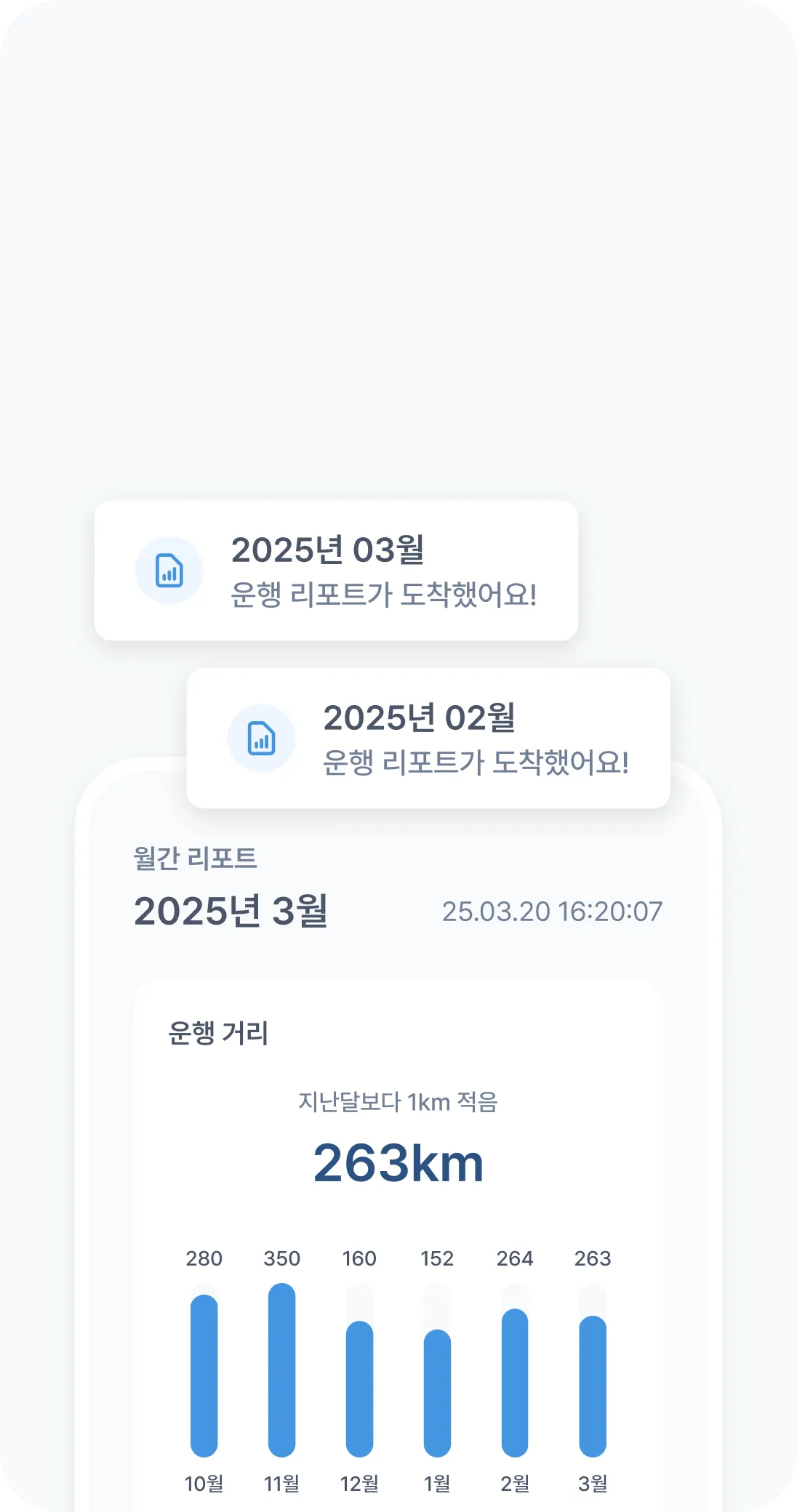 월간 리포트